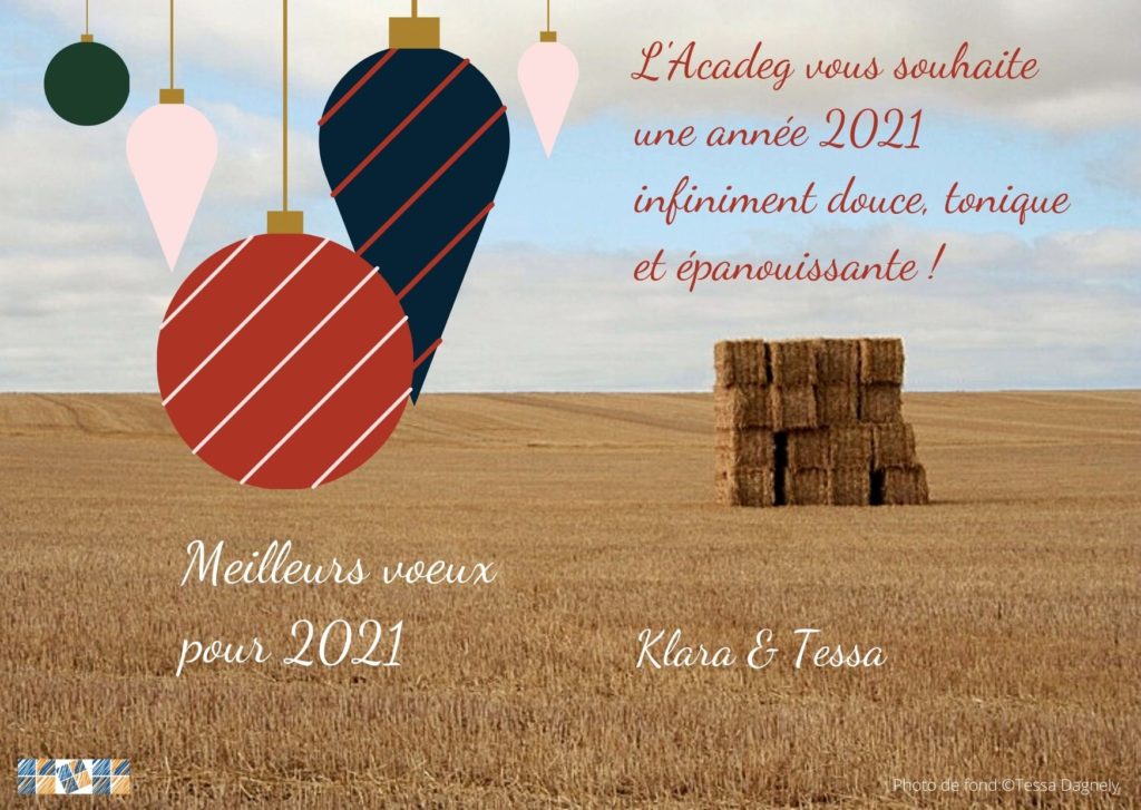 Tous nos voeux pour 2021 Meilleurs voeux 2021
